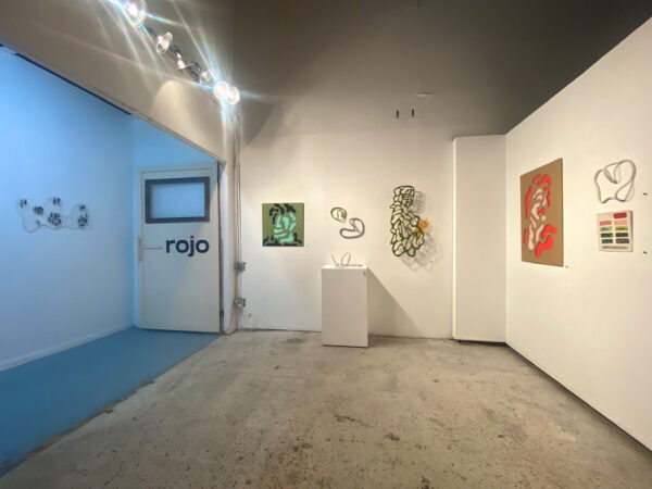 Installation view of Foreign Body on view at Rojo Gallery in San Antonio