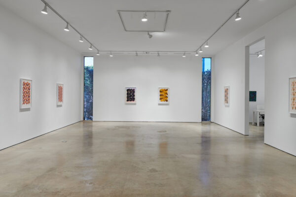 A photograph of an art gallery, featuring multiple artworks hung on white walls.