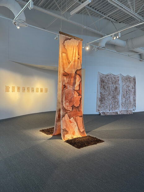 The photograph depicts installed work by Jessie Burciaga. In the foreground is a large-scale fabric work that hangs from the ceiling. The bottom of the fabric lays on the floor and is held in place by a rectangular mass of soil. In the background a second large-scale fabric work and a small series is visible.