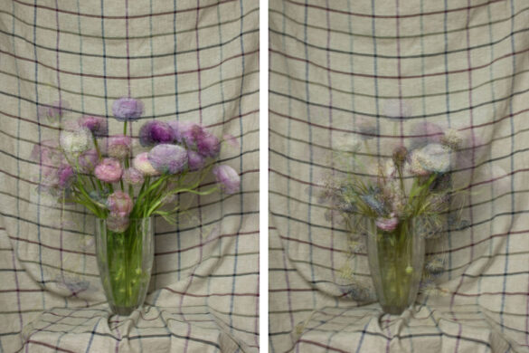 A photographic diptych by Jieun Beth. On the right is a bouquet of purple and white flowers in bloom sitting in vase against a cloth backdrop. On the right is a faded image of the same vase of flowers with the blossoms drooping.