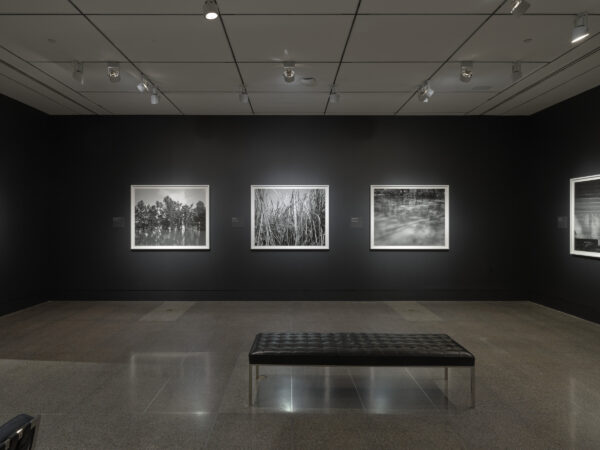 Exhibition image of photos on a wall at the MFA Houston
