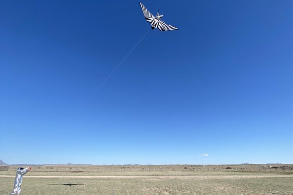 A still image from a video work by Roberto Carlos Lange and Kristi Sword. The image shows a person dressed in a silver astronaut costume flying a bird-shaped kite against a bright blue sky.