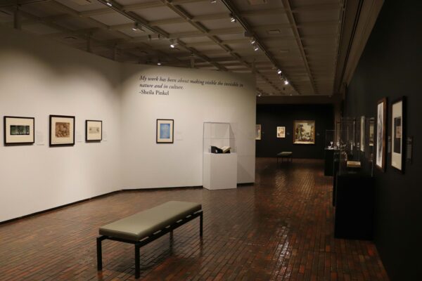 Exhibition view of "Enlarging the View"