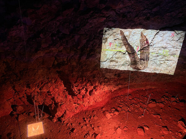 A photograph of the interior of the Lazaret Cave with a wild goat skull highlighted on the ground and an image of the object projected on the wall.