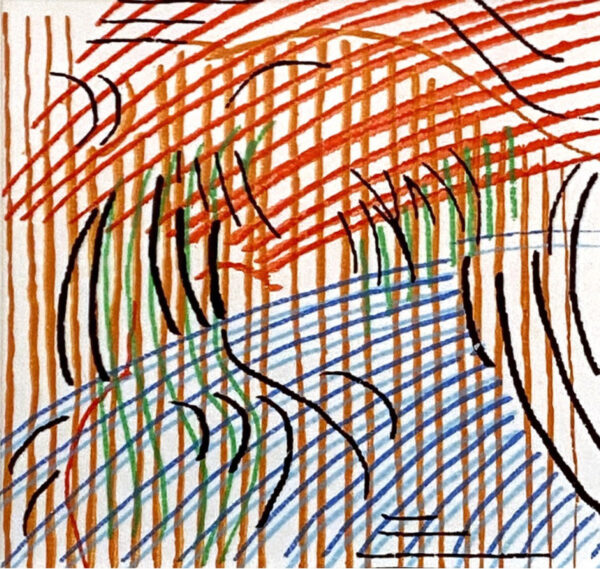 A print featuring many wavy lines in red, orange, blue, green, and black.