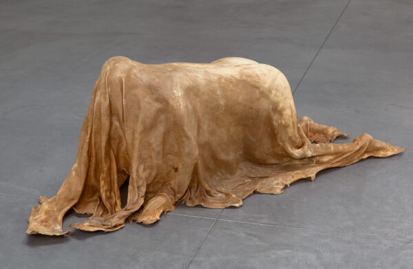 A photograph of sculpture by Janine Antoni. The work is made from rawhide and looks as if the rawhide is fabric draped over the form of a person crawling on their hands and knees.