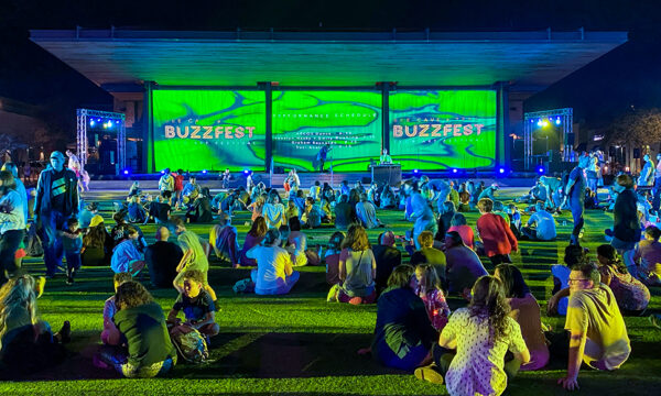 A nighttime photograph of a large crowd of people seated on a lawn watching a performance.