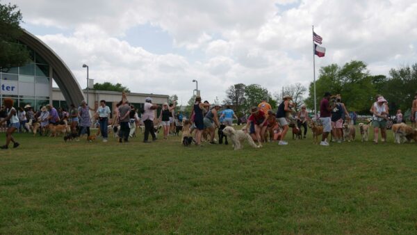 Images of dog walkers with their dogs in a park dancing