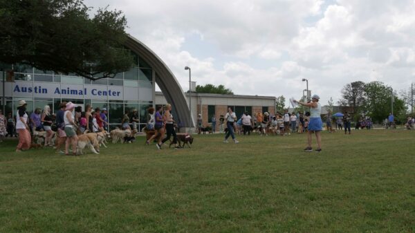 Photo of dog walkers dancing with their dogs