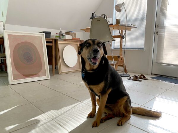 Photo of a brown and black dog sitting in an artists studio