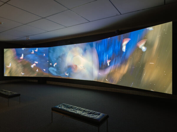 Installation view of a three channel video in a dark room