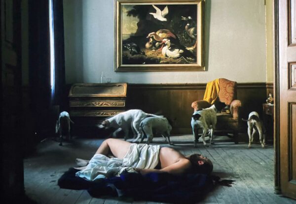 Video still of a man bleeding, lying on the ground covered with a sheet surrounded by dogs