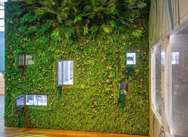 A photograph of four boxes inset into a wall covered in fake foliage.