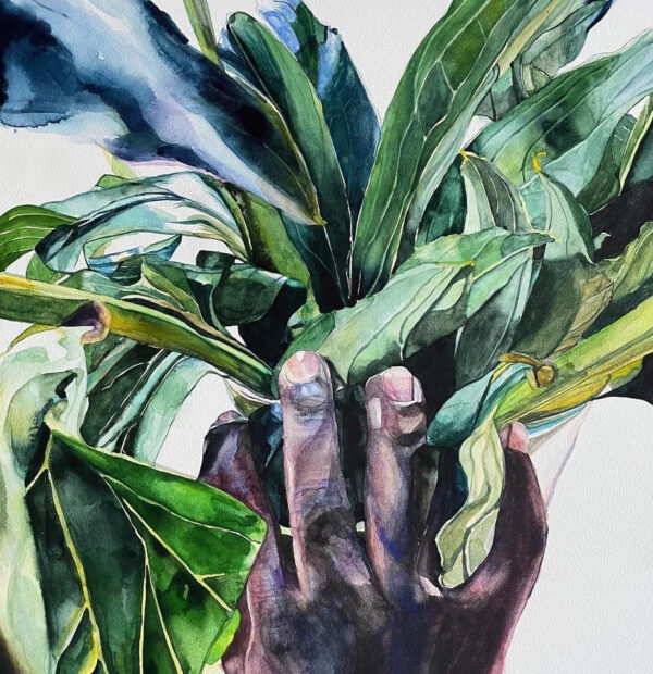 A watercolor painting by Brenda Ciardiello of a hand holding several large leaves.