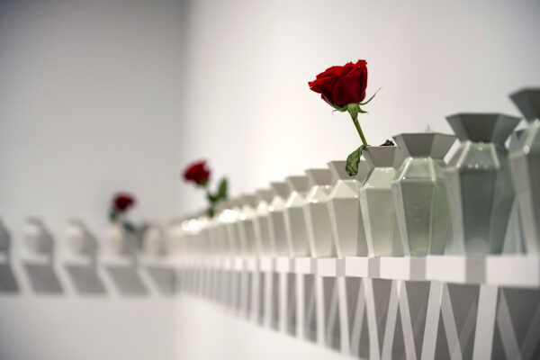 A photograph of an installation by Felicia Jordan. Dozens of white geometric vases sit on individual small shelves in a line around a gallery wall. Three red roses are placed in individual vases.