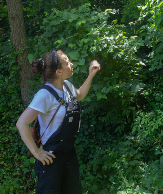 A white woman faces to the right with her right hand on her hip and her left hand held up to examine a wall of vines and tree foliage with the mid-day sun beaming down.
