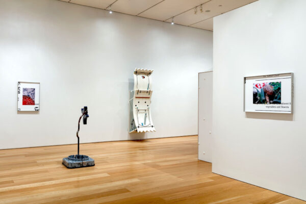 Installation view of two and three dimensional objects in the gallery space