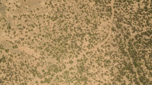 Fotografía aérea de un llano desértico tomada desde lejos. Un serpenteante camino de tierra se abre paso entre manchas de verdor.