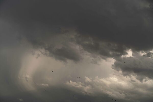 Fotografía de un cielo gris y nublado. Por entre los bucles de las nubes se asoma un poco de luz y las siluetas de un puñado de aves con las alas abiertas.
