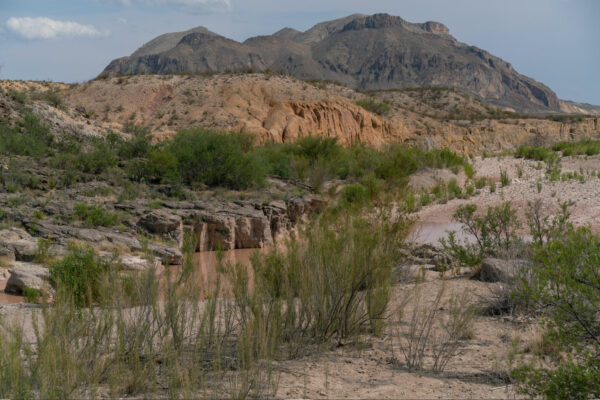 View of a Texas desert landscape