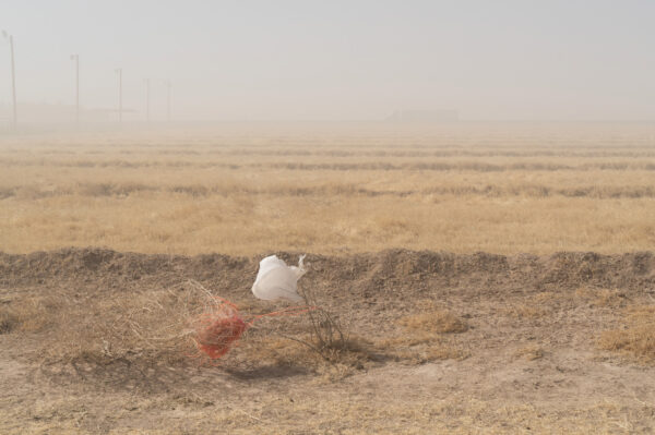 Fotografía de un ventoso llano desértico. En primer plano hay una planta rodadora solitaria. En sus ramas se han enredado un bramante anaranjado y una bolsa de plástico blanco. A la distancia, entre la neblina, están una hilera de postes de luz y un camión tráiler blanco.