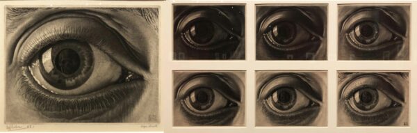 Details of a print of an eye