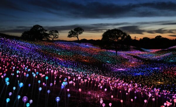 A photograph of a "Field of Light" installation by Bruce Munro. Small colorful lights fill a rolling field at night time.