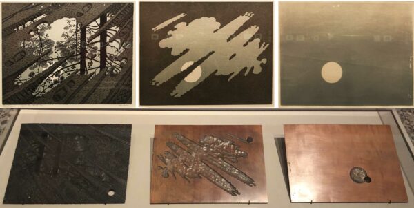 Plates and final images of a print of a puddle