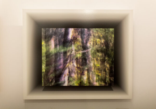 A pigment print of a square of abstract green and purple color sits on a backdrop of a shadowbox