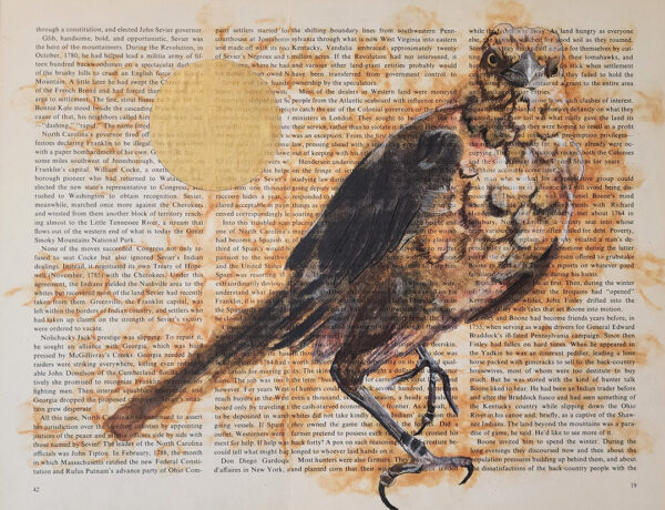 A work on paper by Jill Ewing. An painting of a grackle with a golden moon near it is painted atop book pages.