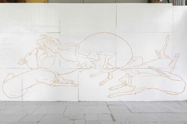 Line drawings of greyhounds on a white wall