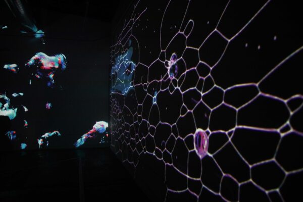 Installation view of a projected, interactive light piece