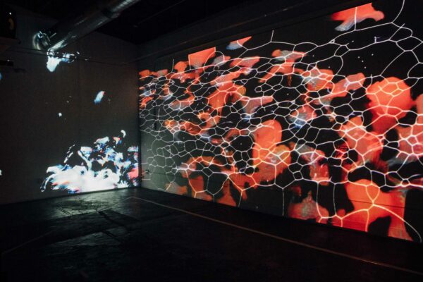 Installation view of an immersive video projection
