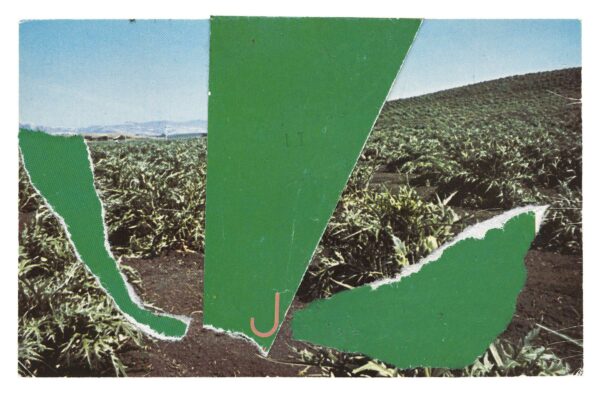 Postcard of a field with large green shapes collaged on top