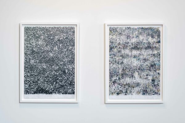 Graphite works on paper hanging on a white wall