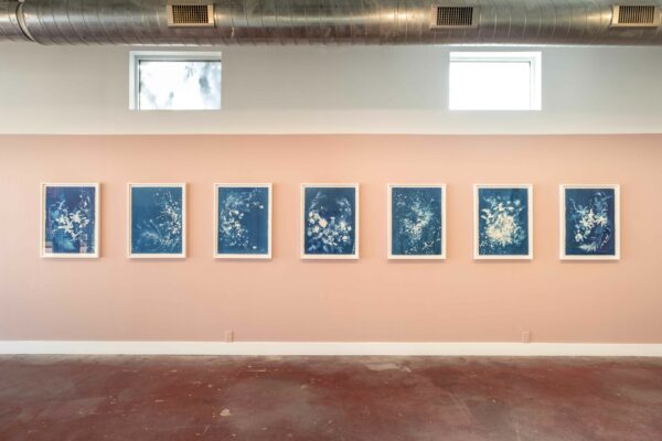 A row of blue cyanotypes on a reddish-pink wall