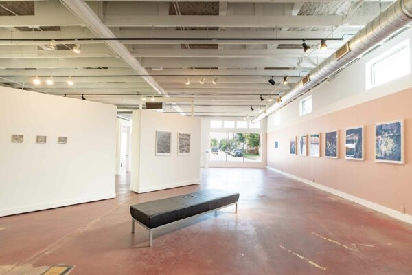 Installation view with cyanotypes on a reddish-pink wall, and small drawings on a diagonal white wall
