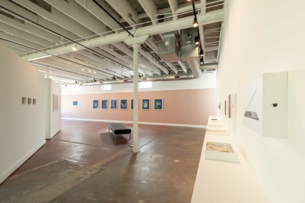 Installation view with cyanotypes hanging in a row, works in boxes on a shelf, and drawings on a white wall