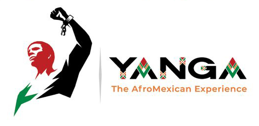A designed graphic with text that reads, "Yanga: The AfroMexican Experience."