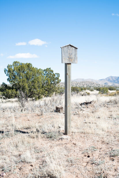 Photo of a bird house in a desert landscape