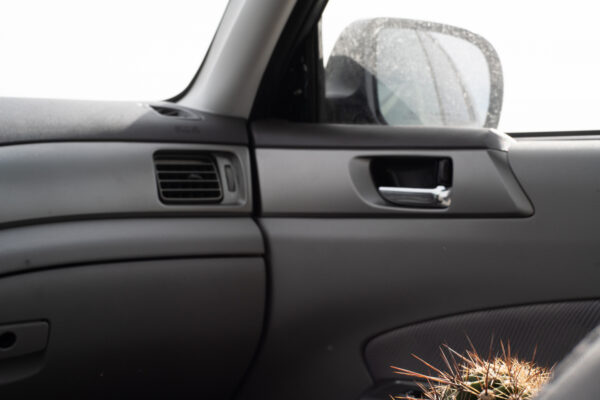 Photo of the interior of a car with a cactus sitting in the passenger seat