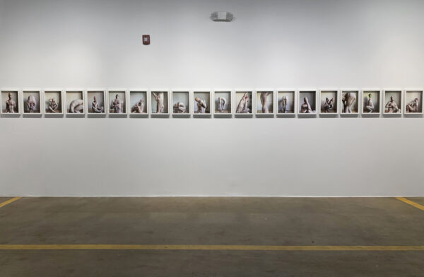 Installation view of intimate portraits in a long row on a white wall