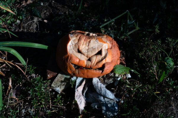 Photo of a smashed pumpkin