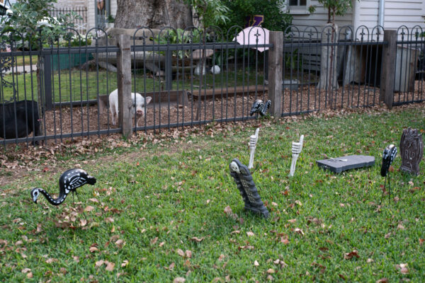 Photo of halloween lawn ornaments in a yard