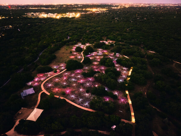 Aerial view of bulb lights in a field