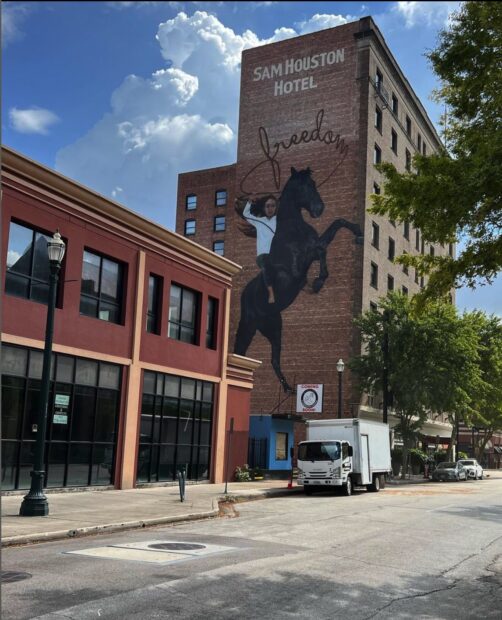 A large-scale mural by Victor Ash in downtown Houston. The mural depicts a young girl riding a horse, the lasso raised above her head spells out the word "freedom." 