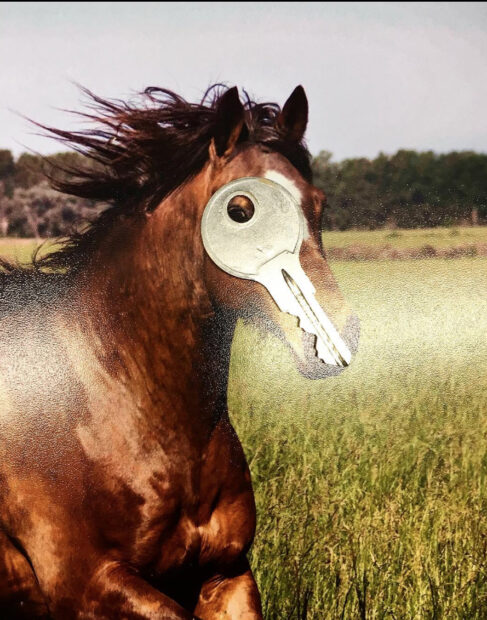 Photo of a horse looking through a hole in a key
