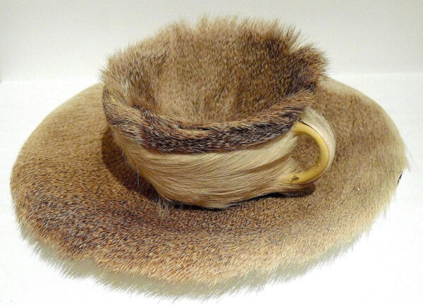 Cup and saucer lined with fur