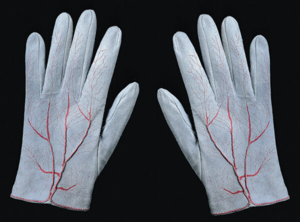 White gloves with red veins painted in them