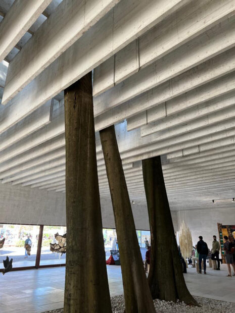 Building with three tree trunks penetrating the ceiling
